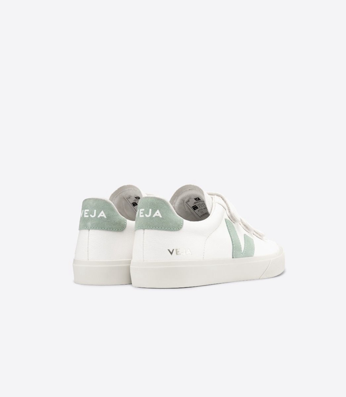 White Veja Leather Matcha Men's Recife | YTMHOL-538